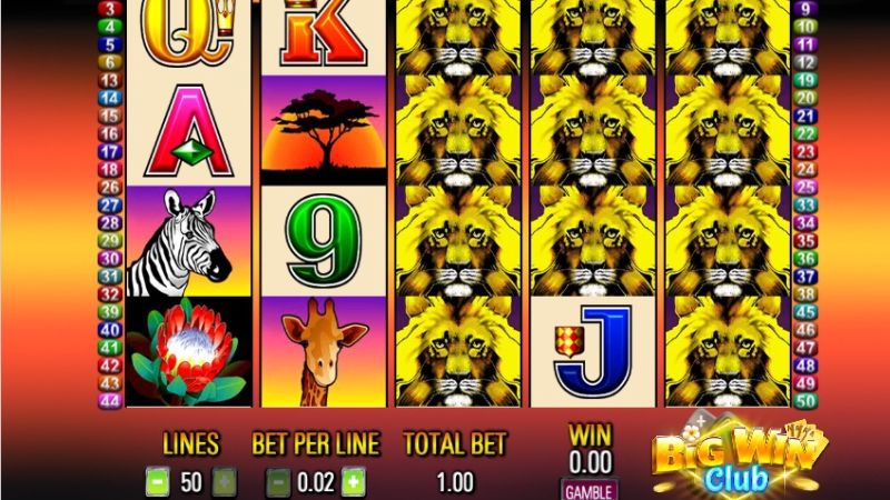 Ang Kaibahan ng 50 Lions Slot Machine Big Win sa mga Karaniwang Slot Games