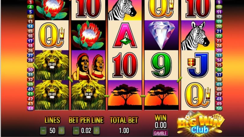 50 lions slot machine big win