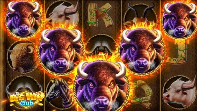 Paano Maglaro ng Buffalo slots?
