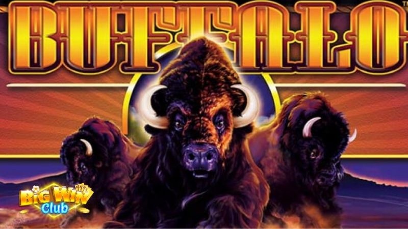 Buffalo Slots Big Wins, Usong Slot Machine Game Ngayon