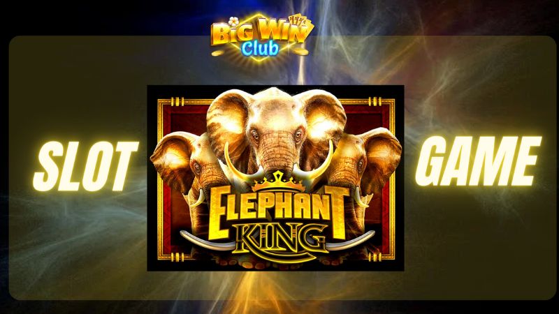 elephant king slot big win