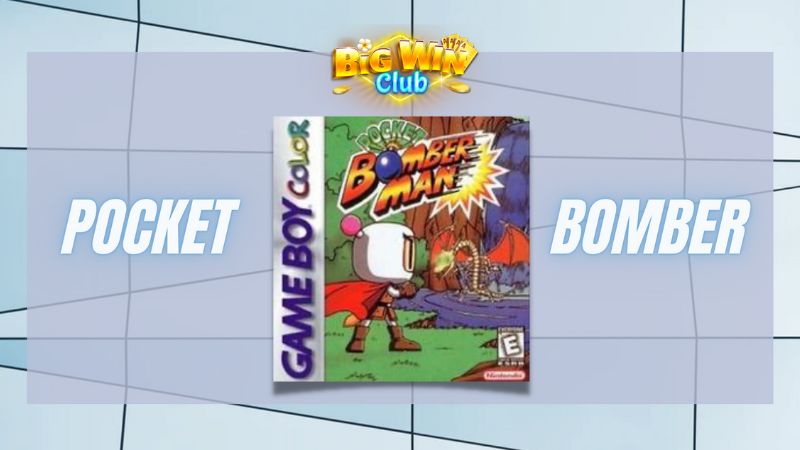 pocket bomberman