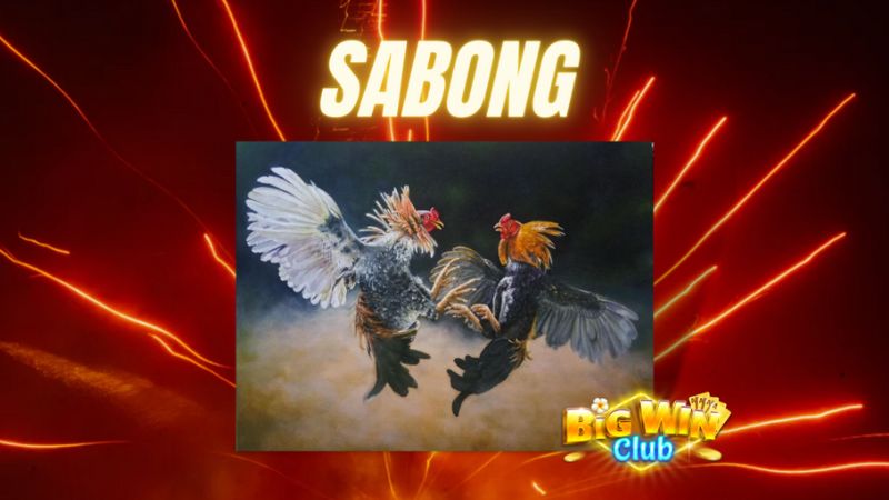 Ang Online Sabong Cards na Bersyon ng Laro