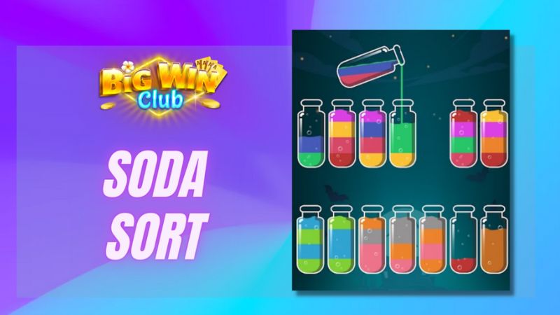 Ano ang Soda Sort Puzzle?